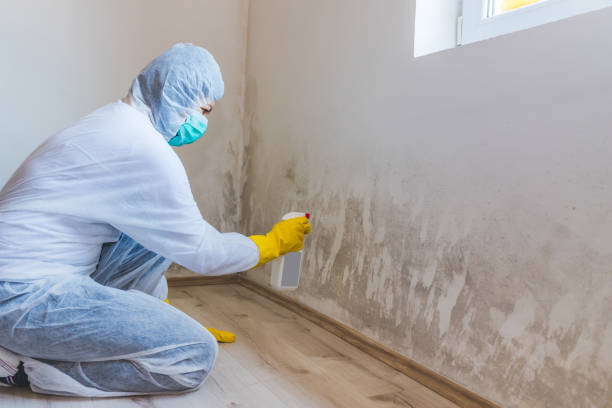 Licensed Crawl Space Mold Removal service in Swampscott, MA - WQB Mold Removal
