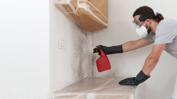 Professional Crawl Space Mold Removal technician working in Swampscott, MA