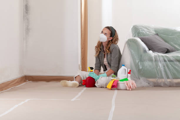 Reliable Crawl Space Mold Removal contractor in Swampscott, MA by WQB Mold Removal